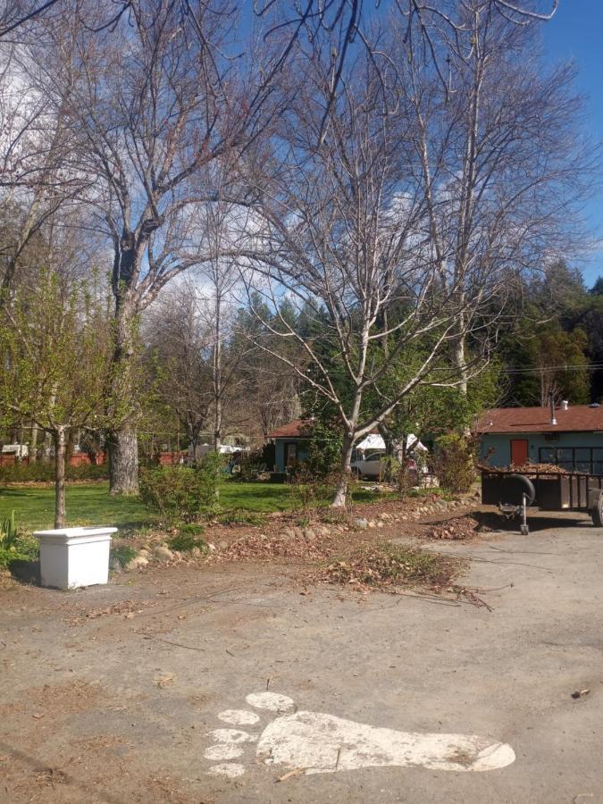 הפי קאמפ Bigfoot Rv & Cabins Park מראה חיצוני תמונה